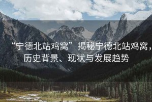 “寧德北站雞窩”揭秘寧德北站雞窩，歷史背景、現(xiàn)狀與發(fā)展趨勢