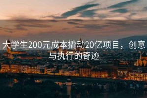 大學(xué)生200元成本撬動(dòng)20億項(xiàng)目，創(chuàng)意與執(zhí)行的奇跡