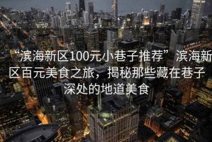 “濱海新區(qū)100元小巷子推薦”濱海新區(qū)百元美食之旅，揭秘那些藏在巷子深處的地道美食