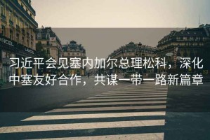 習(xí)近平會見塞內(nèi)加爾總理松科，深化中塞友好合作，共謀一帶一路新篇章