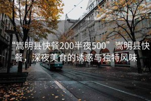 “嵩明縣快餐200半夜500”嵩明縣快餐，深夜美食的誘惑與獨(dú)特風(fēng)味