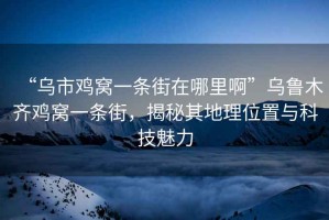 “烏市雞窩一條街在哪里啊”烏魯木齊雞窩一條街，揭秘其地理位置與科技魅力