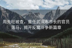 周先旺被查，曾任武漢市市長的官員落馬，揭開反腐斗爭新篇章