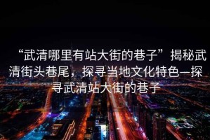 “武清哪里有站大街的巷子”揭秘武清街頭巷尾，探尋當(dāng)?shù)匚幕厣綄の淝逭敬蠼值南镒? title=