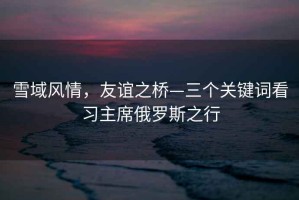 雪域風情，友誼之橋—三個關鍵詞看習主席俄羅斯之行