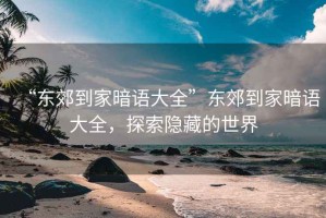 “東郊到家暗語(yǔ)大全”東郊到家暗語(yǔ)大全，探索隱藏的世界