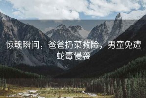 驚魂瞬間，爸爸扔菜救險，男童免遭蛇毒侵襲