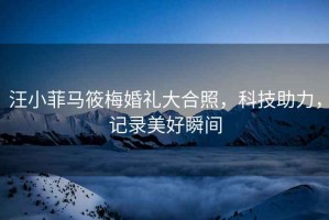汪小菲馬筱梅婚禮大合照，科技助力，記錄美好瞬間