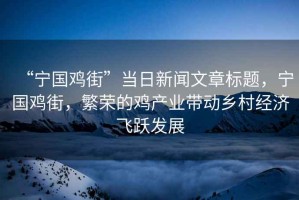 “寧國(guó)雞街”當(dāng)日新聞文章標(biāo)題，寧國(guó)雞街，繁榮的雞產(chǎn)業(yè)帶動(dòng)鄉(xiāng)村經(jīng)濟(jì)飛躍發(fā)展