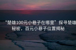 “楚雄100元小巷子在哪里”探尋楚雄秘密，百元小巷子位置揭秘