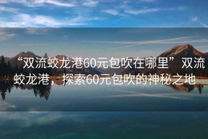 “雙流蛟龍港60元包吹在哪里”雙流蛟龍港，探索60元包吹的神秘之地
