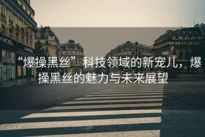 “爆操黑絲”科技領(lǐng)域的新寵兒，爆操黑絲的魅力與未來展望