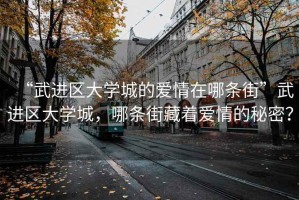 “武進區(qū)大學城的愛情在哪條街”武進區(qū)大學城，哪條街藏著愛情的秘密？