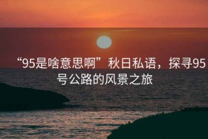 “95是啥意思啊”秋日私語，探尋95號公路的風(fēng)景之旅