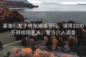 緊急！女子轉(zhuǎn)賬輸錯(cuò)號(hào)碼，誤將1000萬(wàn)轉(zhuǎn)給陌生人，警方介入調(diào)查
