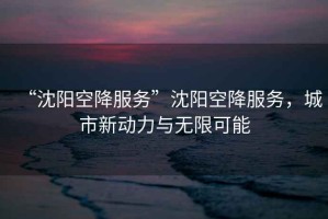 “沈陽空降服務(wù)”沈陽空降服務(wù)，城市新動力與無限可能