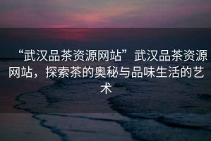 “武漢品茶資源網(wǎng)站”武漢品茶資源網(wǎng)站，探索茶的奧秘與品味生活的藝術(shù)