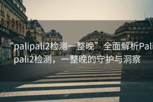 “palipali2檢測一整晚”全面解析Palipali2檢測，一整晚的守護與洞察