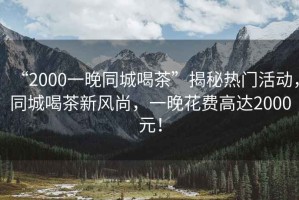“2000一晚同城喝茶”揭秘?zé)衢T活動，同城喝茶新風(fēng)尚，一晚花費高達2000元！