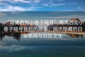 “周浦西街小巷子暗號”周浦西街小巷子暗號背后的故事，揭示隱藏的日常新聞與社區(qū)文化