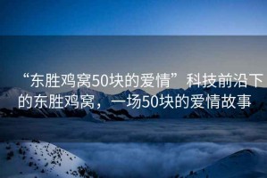 “東勝雞窩50塊的愛情”科技前沿下的東勝雞窩，一場50塊的愛情故事