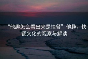 “他趣怎么看出來是快餐”他趣，快餐文化的觀察與解讀