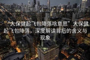“大保健起飛包降落啥意思”大保健起飛包降落，深度解讀背后的含義與現(xiàn)象