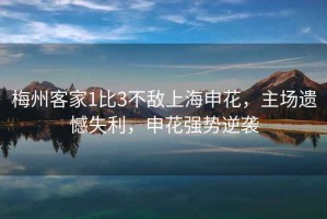 梅州客家1比3不敵上海申花，主場遺憾失利，申花強勢逆襲