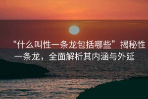“什么叫性一條龍包括哪些”揭秘性一條龍，全面解析其內(nèi)涵與外延