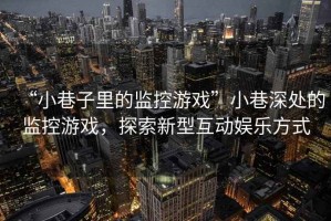 “小巷子里的監(jiān)控游戲”小巷深處的監(jiān)控游戲，探索新型互動(dòng)娛樂方式