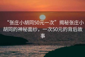 “張莊小胡同50元一次”揭秘張莊小胡同的神秘面紗，一次50元的背后故事