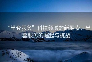 “半套服務”科技領域的新探索，半套服務的崛起與挑戰(zhàn)