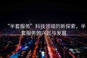 “半套服務(wù)”科技領(lǐng)域的新探索，半套服務(wù)的興起與發(fā)展
