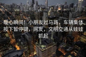 暖心瞬間！小朋友過(guò)馬路，車(chē)輛集體按下暫停鍵，網(wǎng)友，文明交通從娃娃抓起