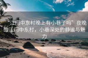 “江門中東村晚上有小巷子嗎”夜晚的江門中東村，小巷深處的靜謐與魅力