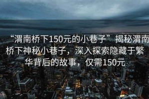 “渭南橋下150元的小巷子”揭秘渭南橋下神秘小巷子，深入探索隱藏于繁華背后的故事，僅需150元