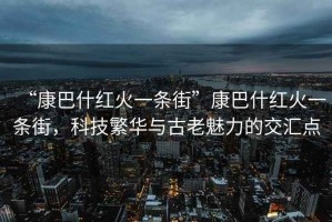 “康巴什紅火一條街”康巴什紅火一條街，科技繁華與古老魅力的交匯點(diǎn)