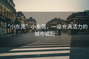 “小東莞”小東莞，一座充滿(mǎn)活力的城市崛起