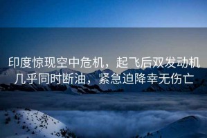 印度驚現(xiàn)空中危機(jī)，起飛后雙發(fā)動(dòng)機(jī)幾乎同時(shí)斷油，緊急迫降幸無傷亡