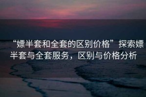 “嫖半套和全套的區(qū)別價(jià)格”探索嫖半套與全套服務(wù)，區(qū)別與價(jià)格分析