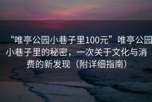 “唯亭公園小巷子里100元”唯亭公園小巷子里的秘密，一次關(guān)于文化與消費的新發(fā)現(xiàn)（附詳細(xì)指南）