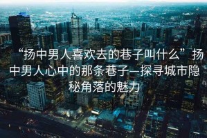 “揚中男人喜歡去的巷子叫什么”揚中男人心中的那條巷子—探尋城市隱秘角落的魅力