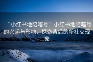 “小紅書(shū)地陪暗號(hào)”小紅書(shū)地陪暗號(hào)的興起與影響，探索背后的新社交現(xiàn)象