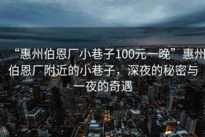 “惠州伯恩廠小巷子100元一晚”惠州伯恩廠附近的小巷子，深夜的秘密與一夜的奇遇