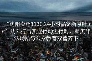 “沈陽(yáng)賣淫1130.24小時(shí)品鑒新茶葉.cc”沈陽(yáng)打擊賣淫行動(dòng)進(jìn)行時(shí)，聚焦非法場(chǎng)所與公眾教育雙管齊下