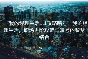 “我的經(jīng)理生活1.1攻略暗號”我的經(jīng)理生活，職場進階攻略與暗號的智慧結(jié)合