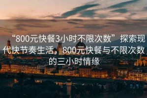 “800元快餐3小時不限次數(shù)”探索現(xiàn)代快節(jié)奏生活，800元快餐與不限次數(shù)的三小時情緣
