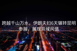 跨越千山萬(wàn)水，伊朗夫婦6天輾轉(zhuǎn)昆明參展，展現(xiàn)異域風(fēng)情