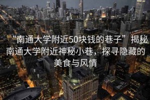 “南通大學(xué)附近50塊錢的巷子”揭秘南通大學(xué)附近神秘小巷，探尋隱藏的美食與風(fēng)情