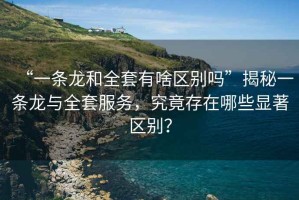 “一條龍和全套有啥區(qū)別嗎”揭秘一條龍與全套服務(wù)，究竟存在哪些顯著區(qū)別？